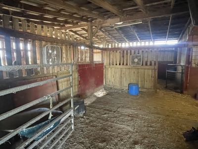 Country home &20 acre Equine farm for sale near Bowling Green Ky. - image 16