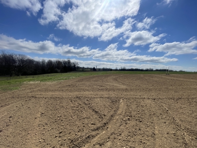 Country home &20 acre Equine farm for sale near Bowling Green Ky. - image 25