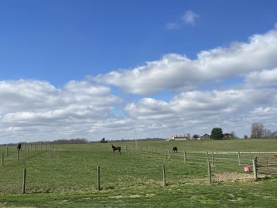 Country home &20 acre Equine farm for sale near Bowling Green Ky. - image 32