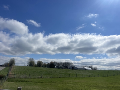 Country home &20 acre Equine farm for sale near Bowling Green Ky. - image 41