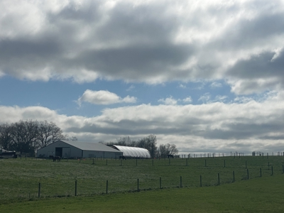 Country home &20 acre Equine farm for sale near Bowling Green Ky. - image 40
