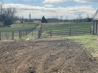Country home &20 acre Equine farm for sale near Bowling Green Ky. - image 27