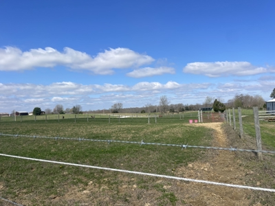 Country home &20 acre Equine farm for sale near Bowling Green Ky. - image 26