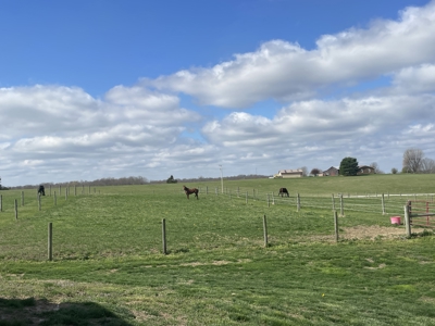 Country home &20 acre Equine farm for sale near Bowling Green Ky. - image 30