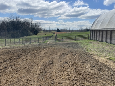 Country home &20 acre Equine farm for sale near Bowling Green Ky. - image 28