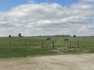 Country home &20 acre Equine farm for sale near Bowling Green Ky. - image 33