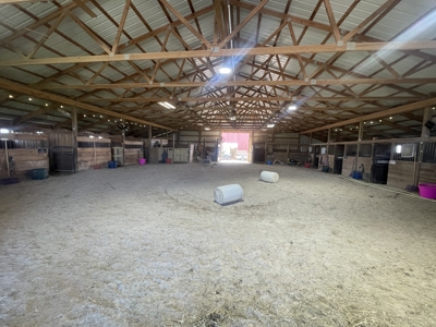 Country home &20 acre Equine farm for sale near Bowling Green Ky. - image 19