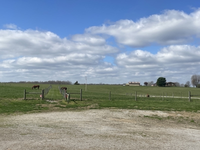 Country home &20 acre Equine farm for sale near Bowling Green Ky. - image 34