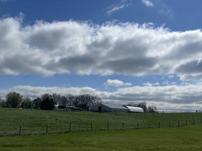 Country home &20 acre Equine farm for sale near Bowling Green Ky. - image 42