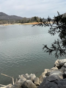 .99 Acre Lakefront Lot In Whitesburg, Tennessee - image 9
