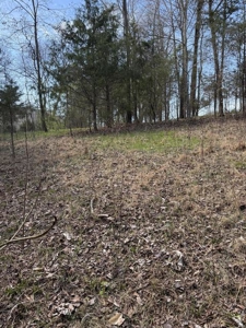 .99 Acre Lakefront Lot In Whitesburg, Tennessee - image 15