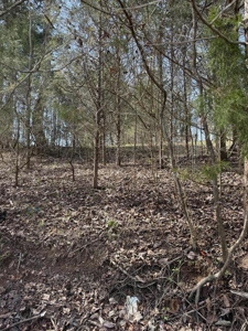 .99 Acre Lakefront Lot In Whitesburg, Tennessee - image 16