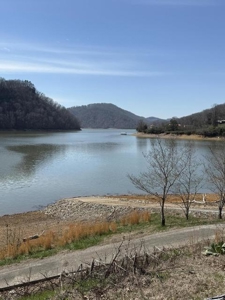 .99 Acre Lakefront Lot In Whitesburg, Tennessee - image 23
