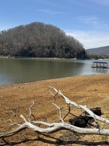 .99 Acre Lakefront Lot In Whitesburg, Tennessee - image 21