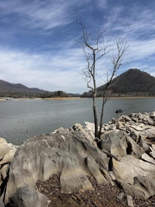 .99 Acre Lakefront Lot In Whitesburg, Tennessee - image 11