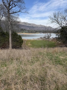 .99 Acre Lakefront Lot In Whitesburg, Tennessee - image 1