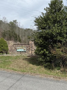 .99 Acre Lakefront Lot In Whitesburg, Tennessee - image 3