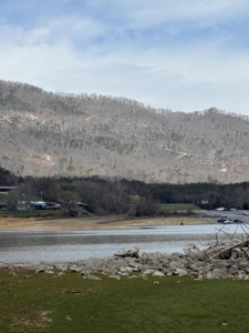 .99 Acre Lakefront Lot In Whitesburg, Tennessee - image 17