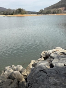 .99 Acre Lakefront Lot In Whitesburg, Tennessee - image 8