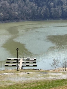 .99 Acre Lakefront Lot In Whitesburg, Tennessee - image 24
