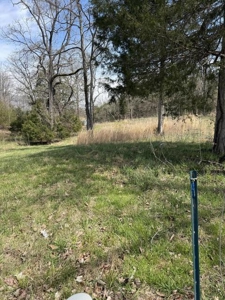 .99 Acre Lakefront Lot In Whitesburg, Tennessee - image 20