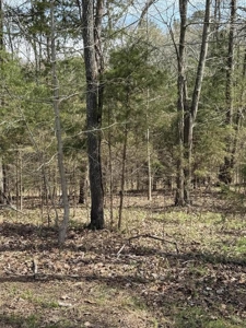 .99 Acre Lakefront Lot In Whitesburg, Tennessee - image 6