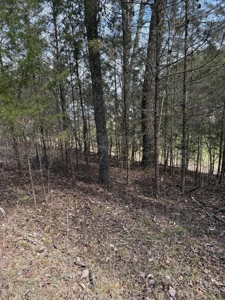 .99 Acre Lakefront Lot In Whitesburg, Tennessee - image 14