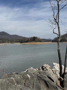 .99 Acre Lakefront Lot In Whitesburg, Tennessee - image 10