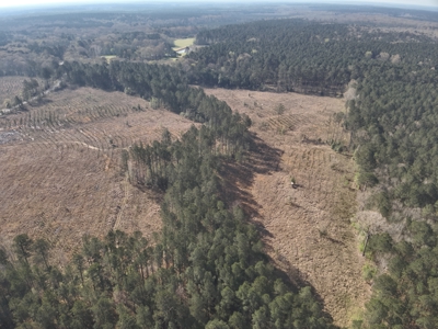 Multi-Use Timberland Property for Sale! - image 3