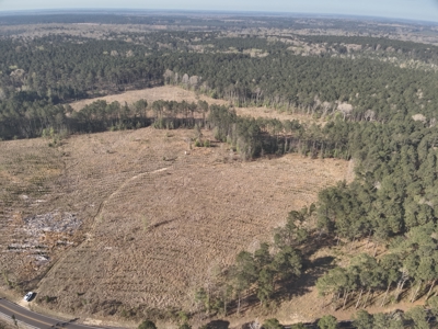 Multi-Use Timberland Property for Sale! - image 1