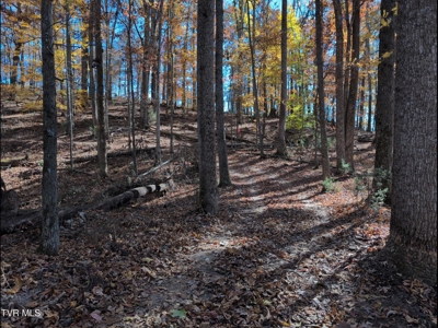 10.622 Acres For Sale in Bluff City, Tennessee w/ Amazings Views - image 12