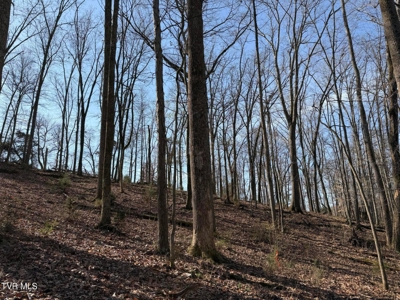 10.622 Acres For Sale in Bluff City, Tennessee w/ Amazings Views - image 10