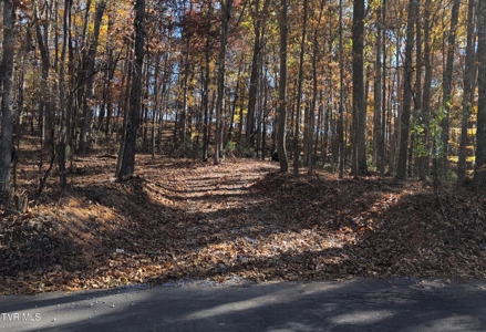 10.622 Acres For Sale in Bluff City, Tennessee w/ Amazings Views - image 20