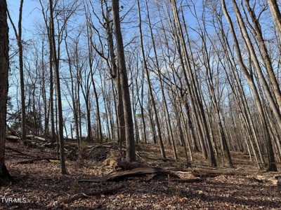 10.622 Acres For Sale in Bluff City, Tennessee w/ Amazings Views - image 8