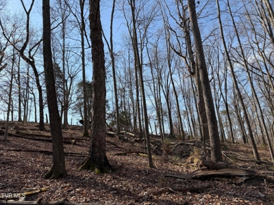 10.622 Acres For Sale in Bluff City, Tennessee w/ Amazings Views - image 9