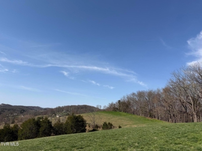 10.622 Acres For Sale in Bluff City, Tennessee w/ Amazings Views - image 15
