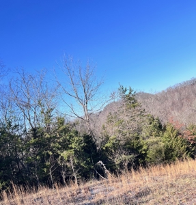10.622 Acres For Sale in Bluff City, Tennessee w/ Amazings Views - image 21