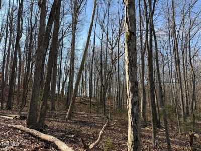 10.622 Acres For Sale in Bluff City, Tennessee w/ Amazings Views - image 7