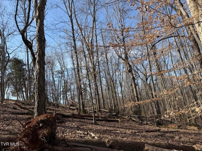 10.622 Acres For Sale in Bluff City, Tennessee w/ Amazings Views - image 11