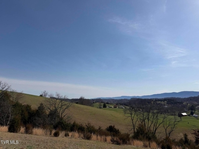 10.622 Acres For Sale in Bluff City, Tennessee w/ Amazings Views - image 6