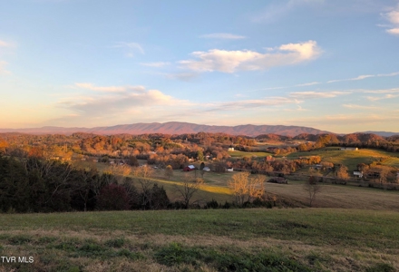 10.622 Acres For Sale in Bluff City, Tennessee w/ Amazings Views - image 18