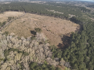 Parkers Chapel Homesite Property for Sale!! - image 4
