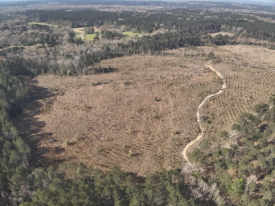 Parkers Chapel Homesite Property for Sale!! - image 6