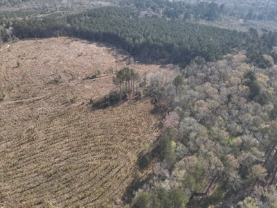 Parkers Chapel Homesite Property for Sale!! - image 2