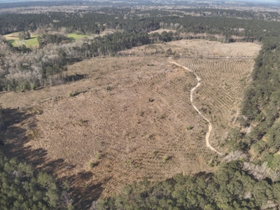 Parkers Chapel Homesite Property for Sale!! - image 5