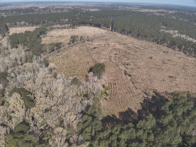Parkers Chapel Homesite Property for Sale!! - image 3