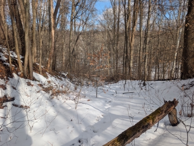 Beaver Pond and Hunting Beauty in Washington County Tract 15 - image 17