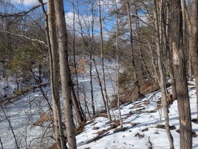 Beaver Pond and Hunting Beauty in Washington County Tract 15 - image 3