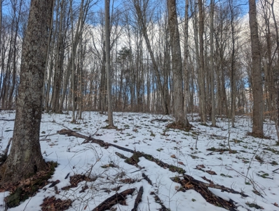 Beaver Pond and Hunting Beauty in Washington County Tract 15 - image 19