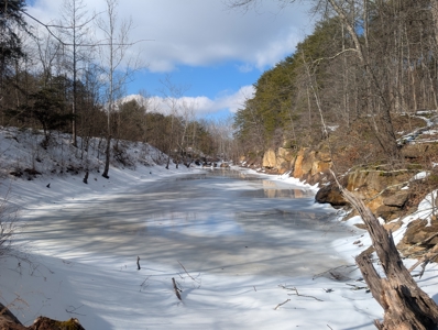 Beaver Pond and Hunting Beauty in Washington County Tract 15 - image 9